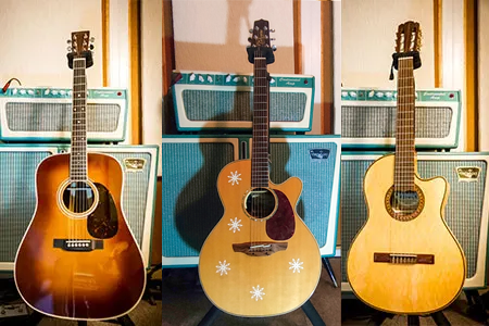 Martin D35 ambertone, Takamine TAN46C, Taylor mini, Gracia